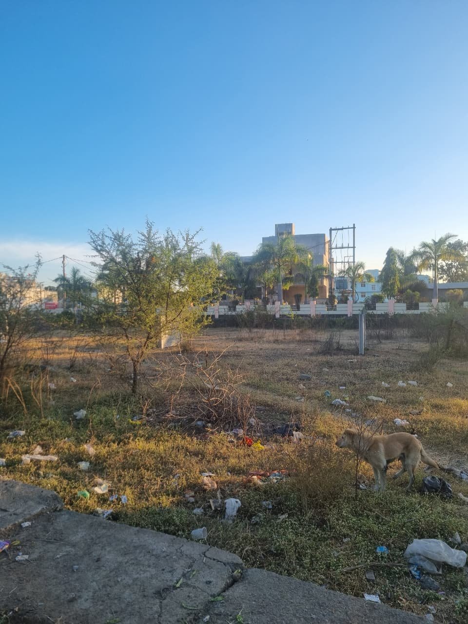 ​🚀 For Commercial Buyers (Best for Shops/Offices)